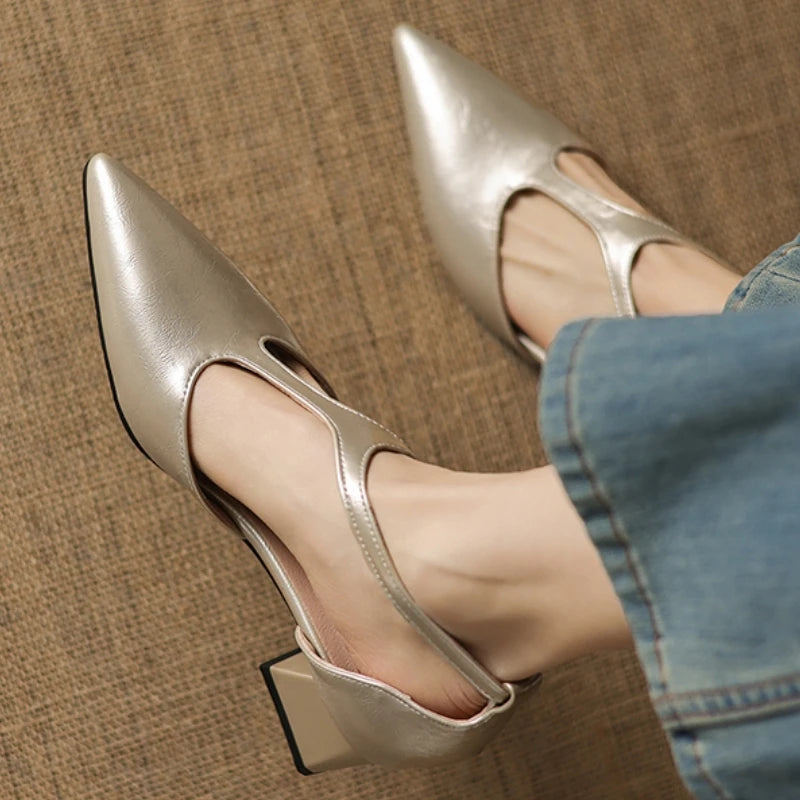 Point Toe Square Heel Mary Jane Pumps