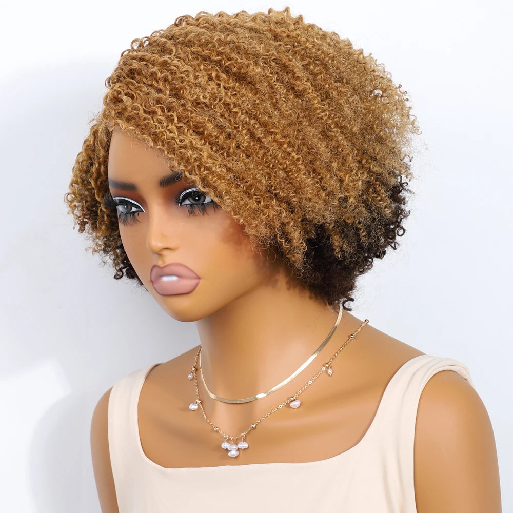 Glueless Kinky Curly Human Hair Lace Bob Wig for Women