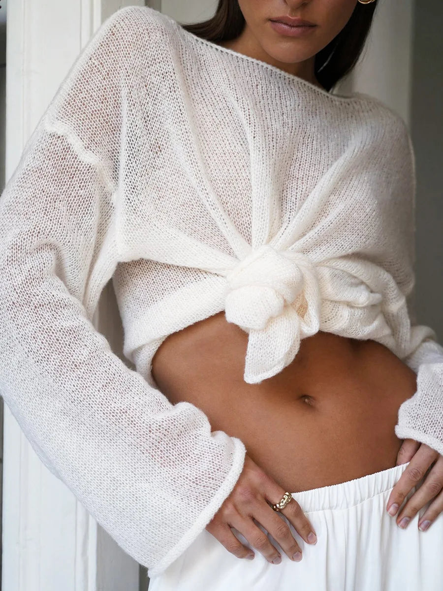 Sheer Hollow Knit Sweater