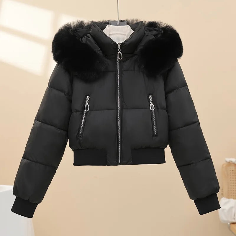 Warm Hooded Cotton Padded Winter Parka Coat for Women