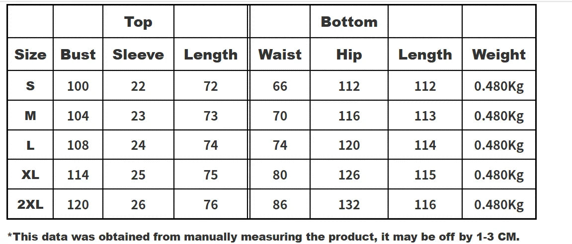 Casual Two Piece Shirt and Wide Leg Pants Set for Women