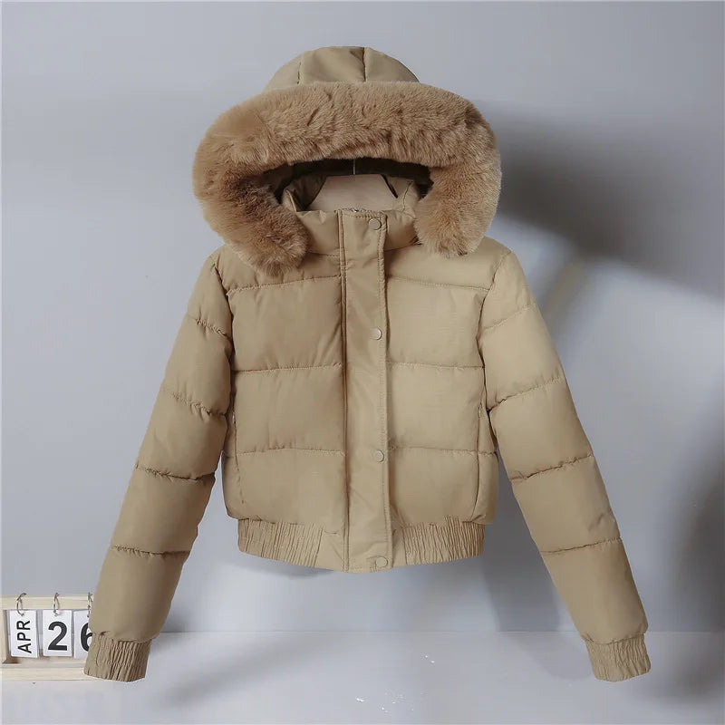 Solid Color Padded Winter Hooded Jacket