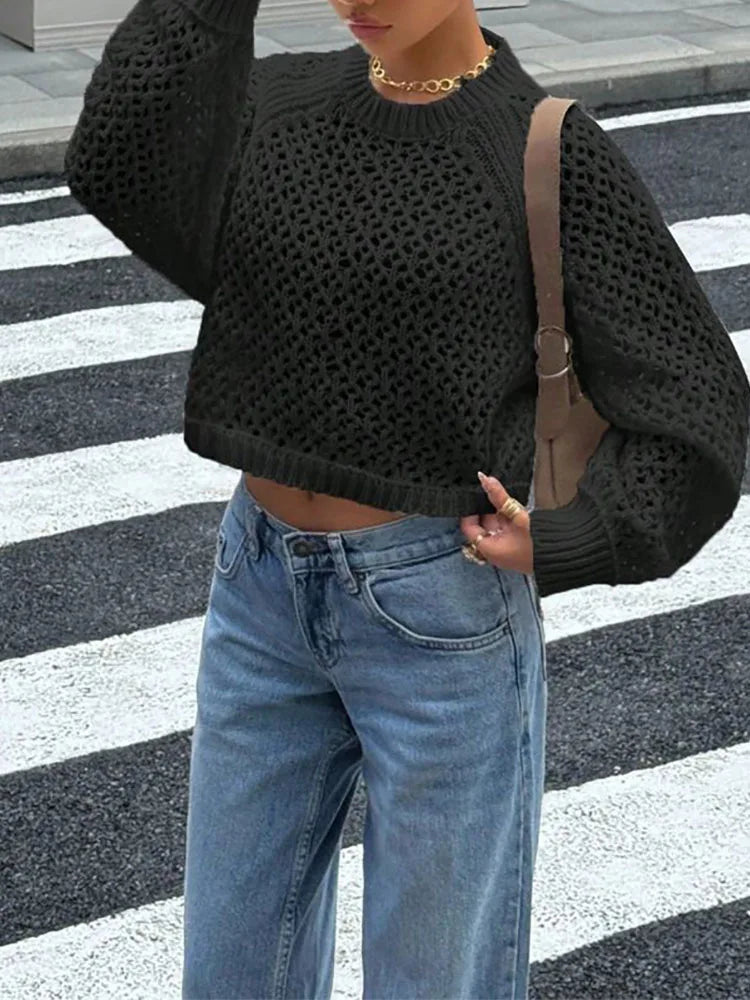 Long Sleeve Sheer Open Back Knit Sweater for Women
