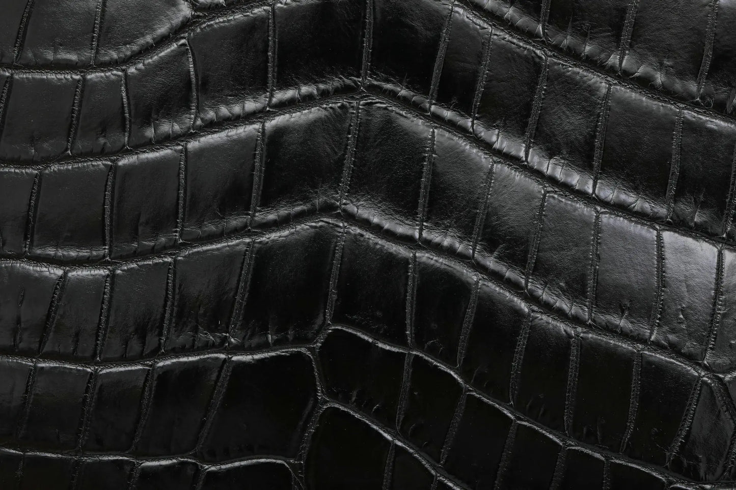 2025 New Designer Crocodile Leather Women Bucket Bag Fashion Genuine Leather Chain Lady Shoulder Bag  Crossbody Bag For Woman 45