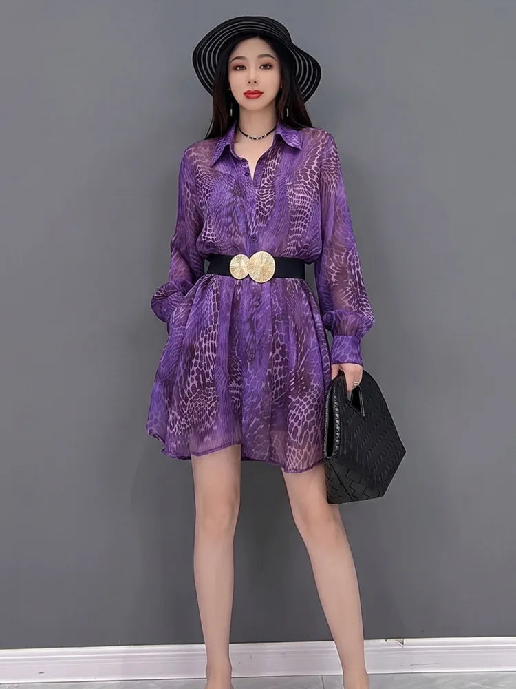 Long Sleeve Shirt And Mini Skirt Set