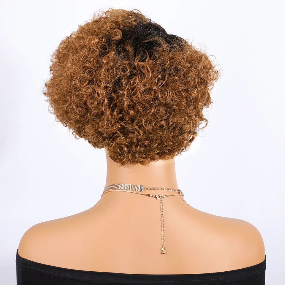 Curly Short Pixie Lace Front Wig Remy Human Hair Glueless for Women