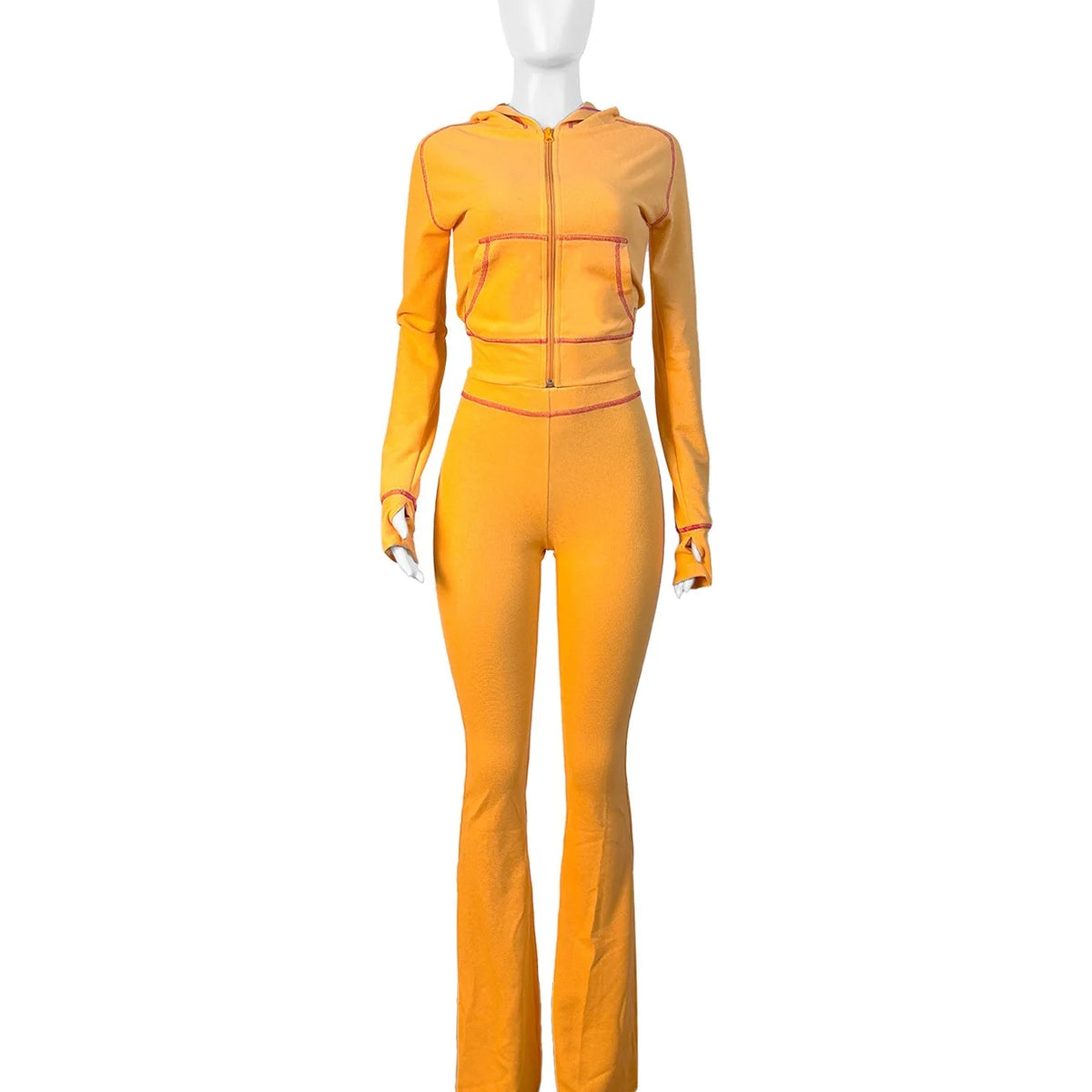 Hooded Long Sleeve Two Piece Matching Pants Set for Women