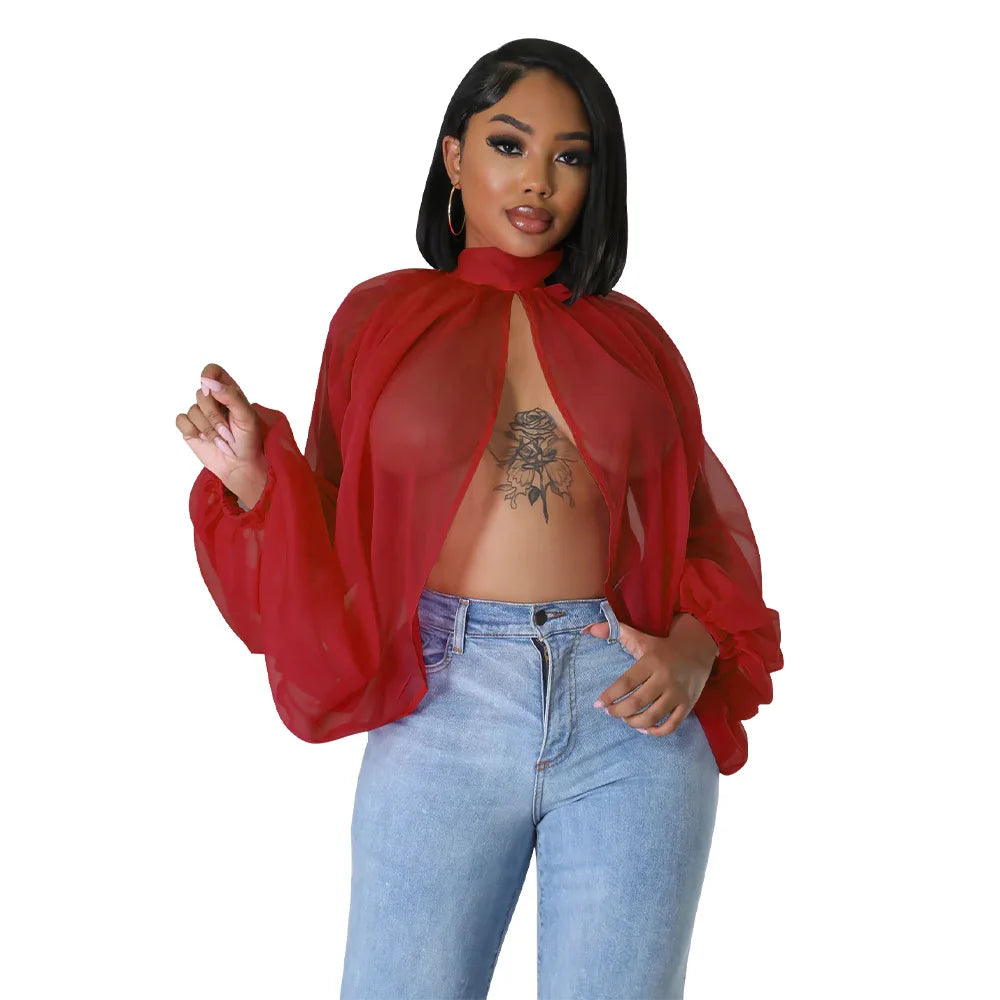 Sheer Lantern Sleeve Blouse with Tie Back for Women