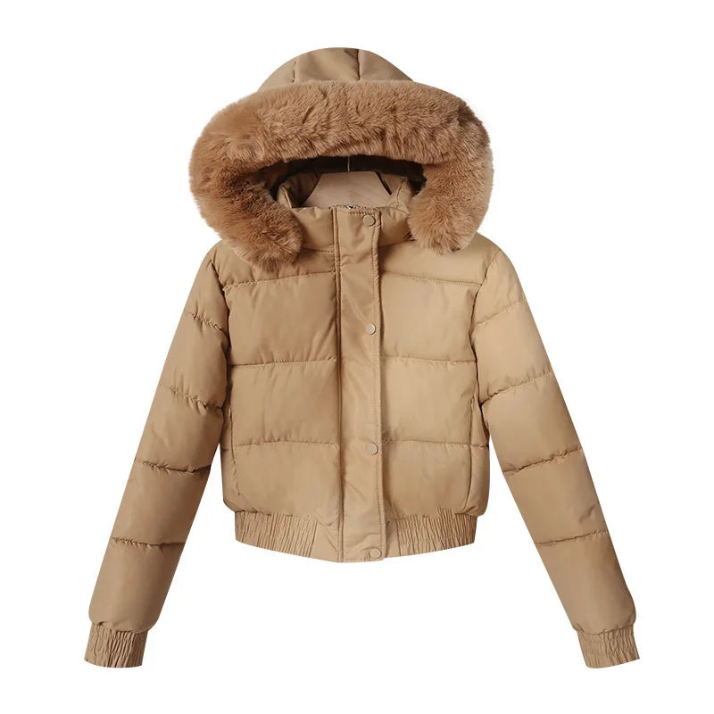 Solid Color Padded Winter Hooded Jacket