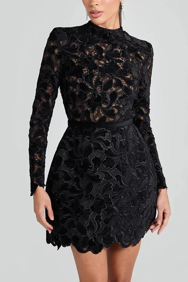 Long Sleeve Simple Elegant Mini Dress, Women Spring Autumn O Neck Sweet Party Dress, Solid Patchwork Hollow Ladies Dress