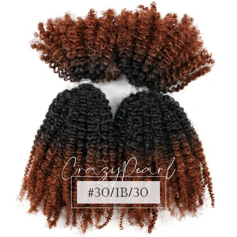 Natural Afro Kinky Curly Human Hair Extensions for Women