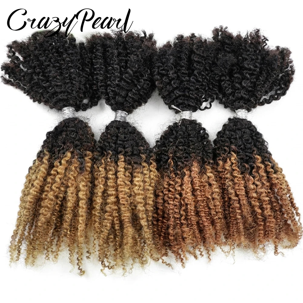 Natural Afro Kinky Curly Human Hair Extensions for Women