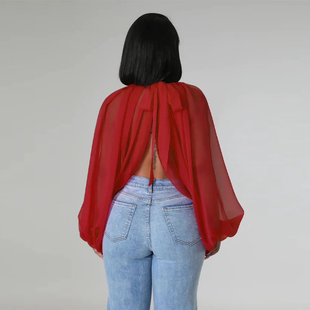 Sheer Lantern Sleeve Blouse with Tie Back for Women
