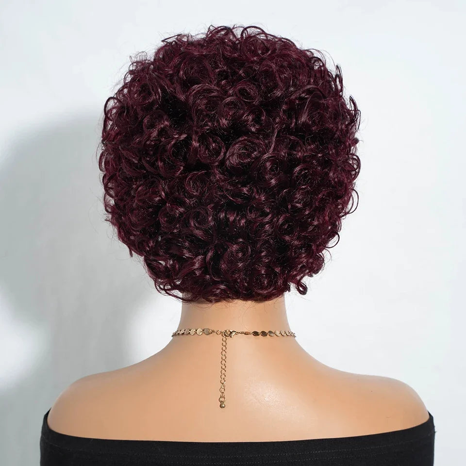 Short Kinky Curly Pixie Bob Human Hair Wig for Women