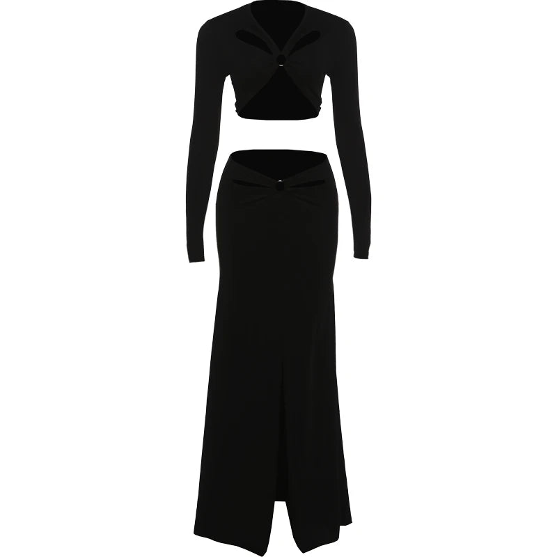 Elegant Hollowed Flowers V Neck Crop Top and Long Skirt Two Piece Set for Women