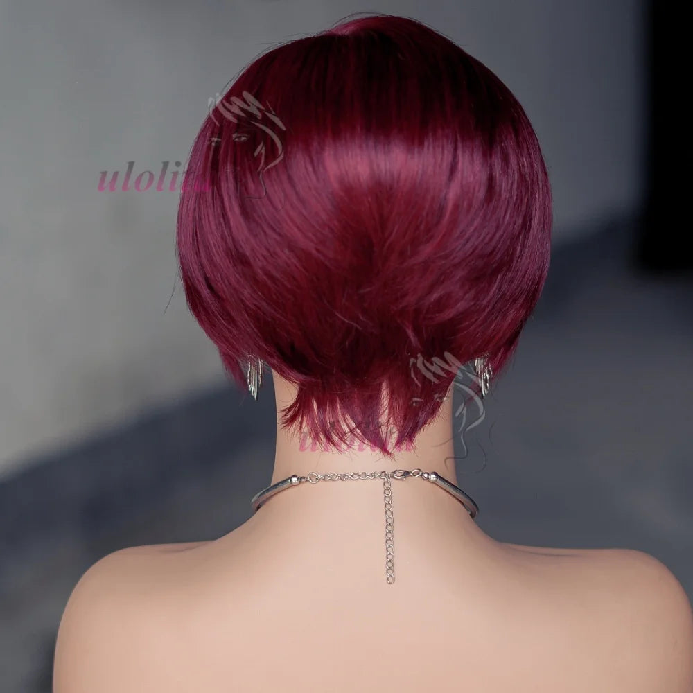 Wig HD Transparent Lace Front 13x4 Pixie Cut Bob Indian Hair Pre Plucked 200 Density