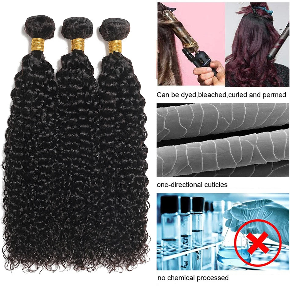 Kinky Curly Virgin Human Hair Extensions Bundles for Women