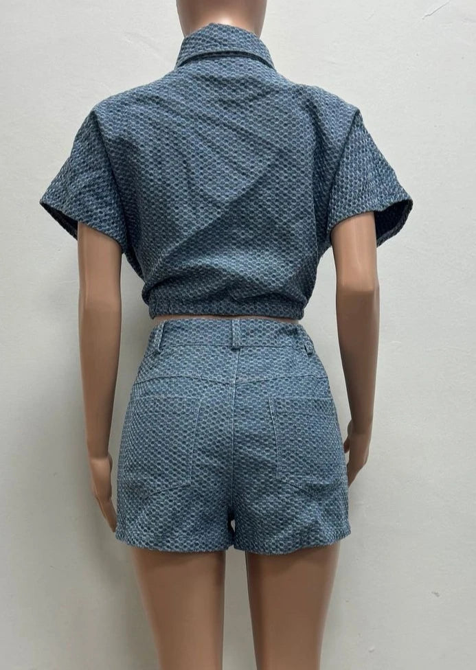 Embroidered Polo Neck Two Piece Denim Shorts Set for Women