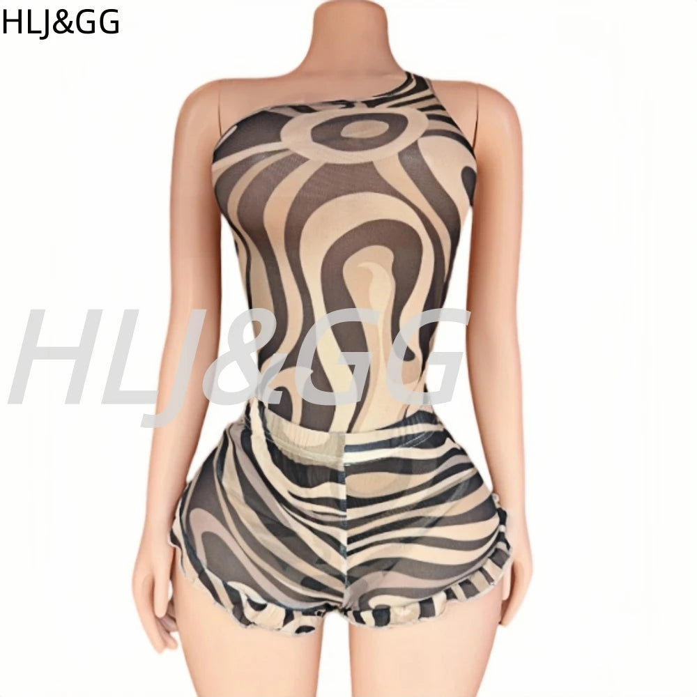 Zebra Print Mesh See Through Two Piece Set for Women