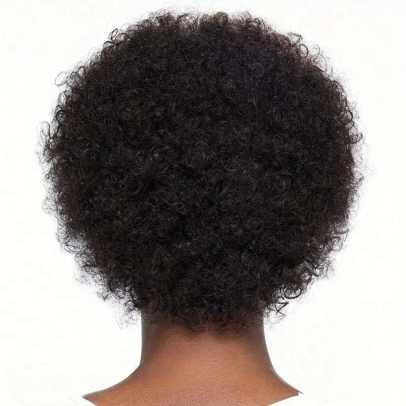 Afro Kinky Curly Wig for Women Brazilian Remy Human Hair Full Machine Made wig