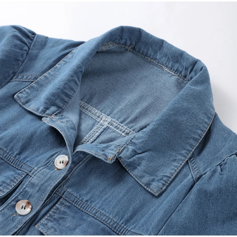 Casual A Line Single Breasted Denim Maxi Dress For Women