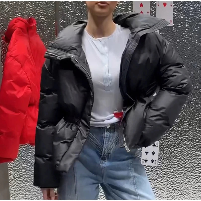 Warm Loose Fit Zipper Jacket With Stand Collar for Women