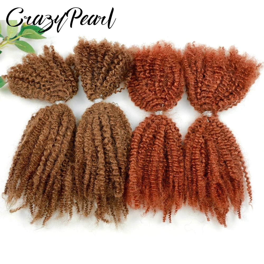 Natural Afro Kinky Curly Human Hair Extensions for Women