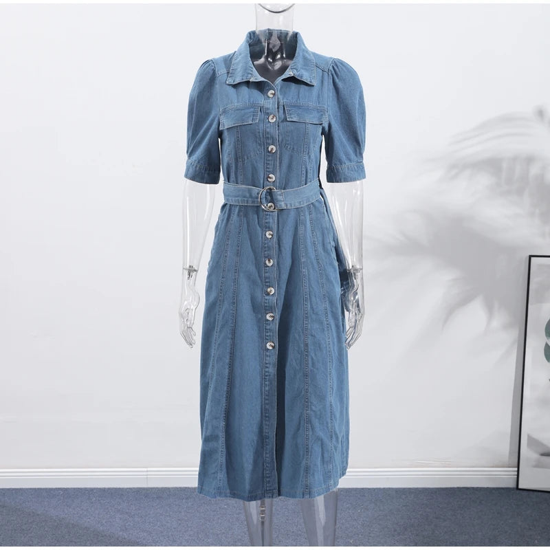 Casual A Line Single Breasted Denim Maxi Dress For Women