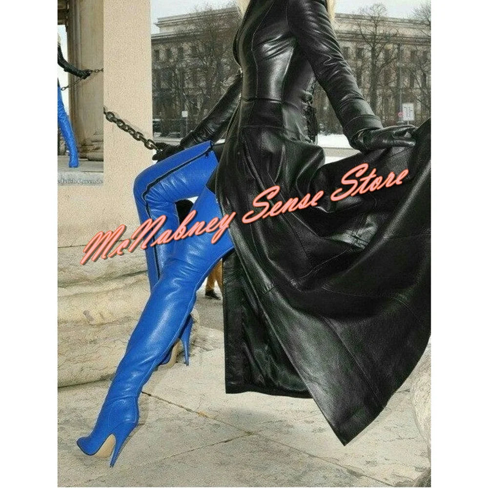 Pointy Toe Side Zipper Thigh High Stiletto Boots for Women