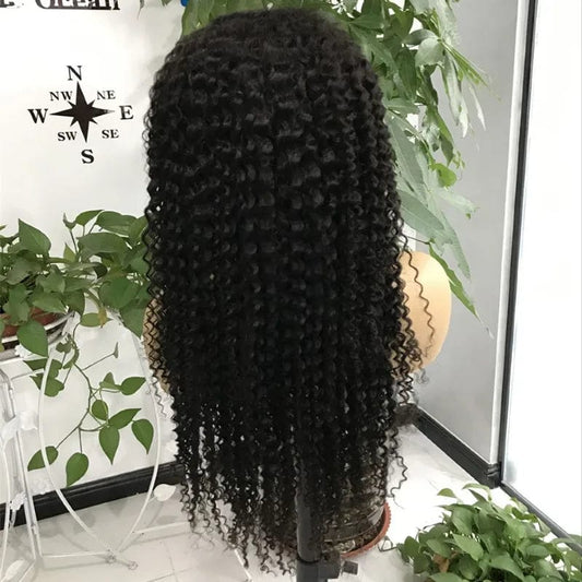 Black curly-150% / 24 Inches Small Knots Pre Plucked Hd Lace Front Wig Lace Human Hair Wig Transparent 1 Piece Brazilian Hair Long Swiss Lace Average Size