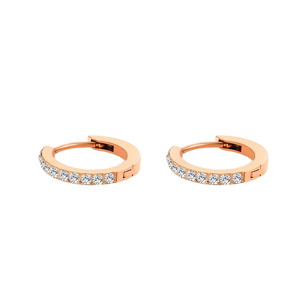 earring / Apr 14K Gold Stainless Steel 14K Gold Micro Insert CZ Stone Birthstone Circle Earrings Titanium Steel PVD 12Months Stone Circle Earring