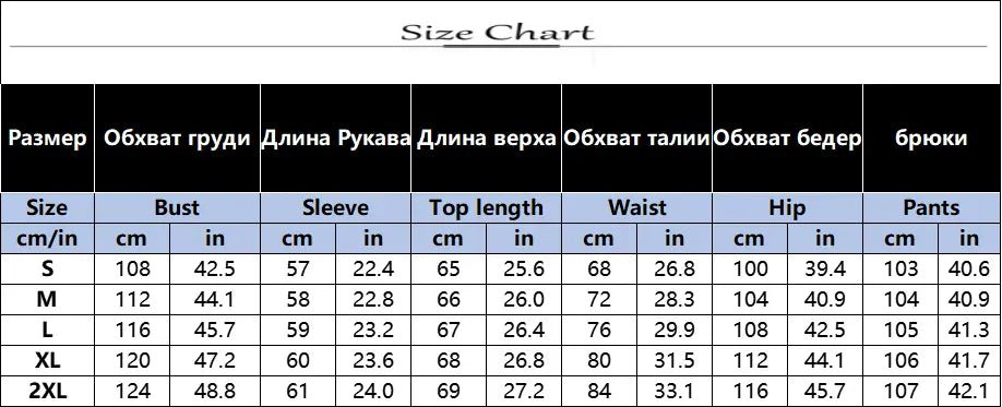 Fashion Leopard Print Women's Two Piece Sets Elegant Casual Button Streetwear Long Sleeve Shirt And Wide Leg Pants 2 Piece Sets - SN Wigs & More