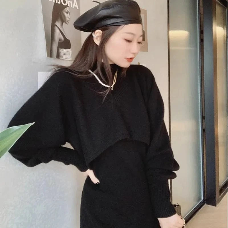Free / Black 2023 Autumn winter high quality fashion women's solid color semi-high neck mid-length loose two-piece knit dress
