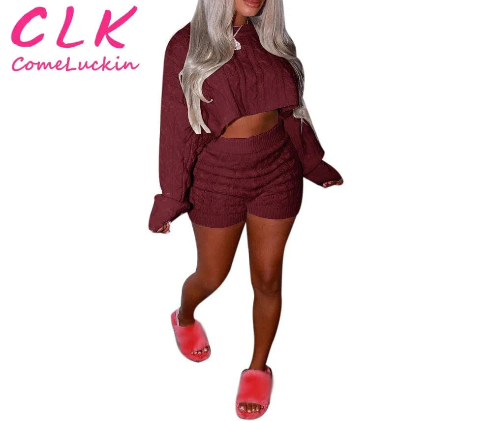 L / Burgundy 2024 Fashion Long Sleeve Top And Shorts 2 Piece Set Custom Logo Women Sweaters Two Piece Set