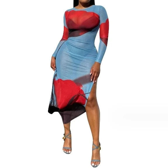 L / Sky Blue 2024 New Arrivals Printed Mesh Bodycon Dress Spring Women's Clothing Sexy Split Long Dress For Ladies