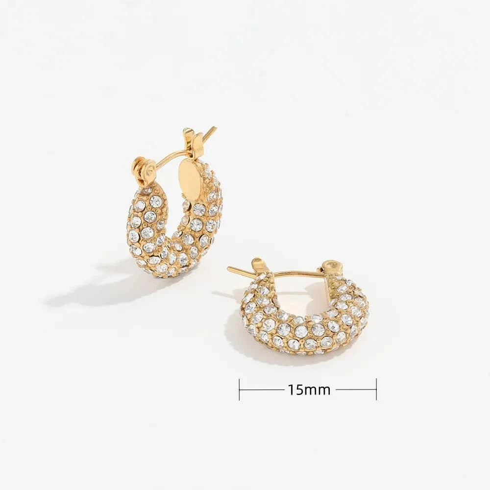 Luxury Sparkle 18K Gold PVD Plated Shiny Party  Micro Pave Stainless Steel Hoop Earring Non Tarnish & Waterproof Jewelry