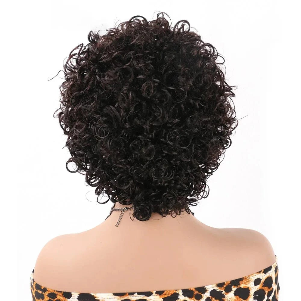 Pixie Cut Wigs Human Hair Short Curly Lace Front Human Hair Wigs For Women Water Wave Bob Wig 13x1 Transparent Lace Wigs
