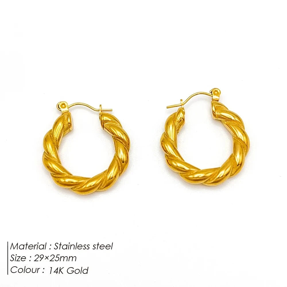 Popular Women's Korean Japan 316 Stainless Steel Fine Jewelry Hoop Earrings Rope Twisted Piercing Earrings