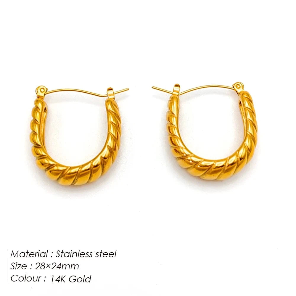 Popular Women's Korean Japan 316 Stainless Steel Fine Jewelry Hoop Earrings Rope Twisted Piercing Earrings