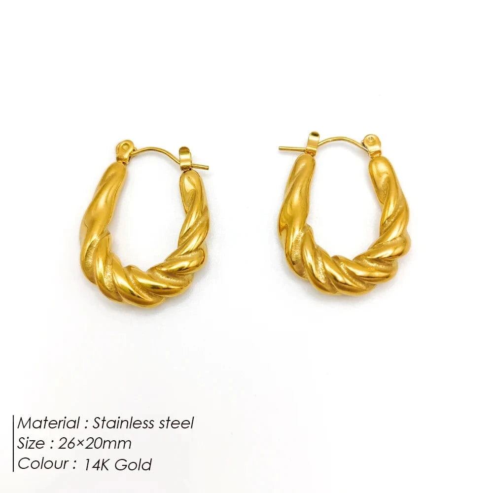 Popular Women's Korean Japan 316 Stainless Steel Fine Jewelry Hoop Earrings Rope Twisted Piercing Earrings