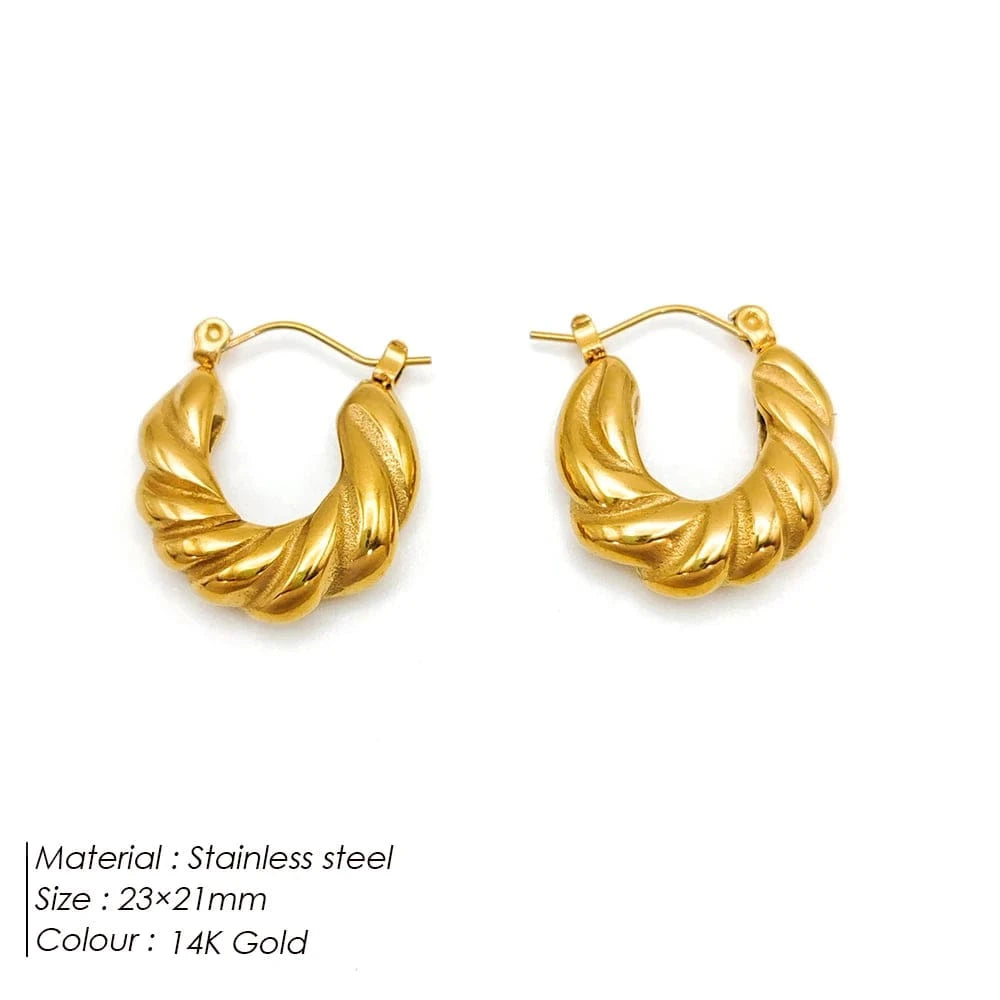 Popular Women's Korean Japan 316 Stainless Steel Fine Jewelry Hoop Earrings Rope Twisted Piercing Earrings