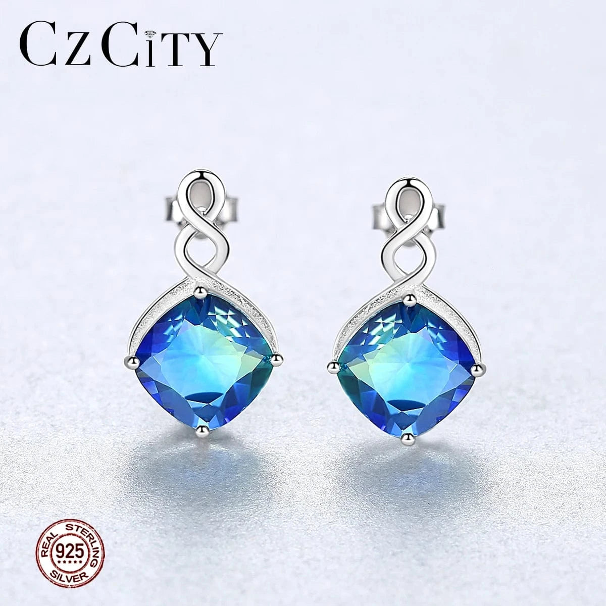 SE0429 CZCITY New Stylish Earrings Fashion 925 Sterling Silver Earrings for Women