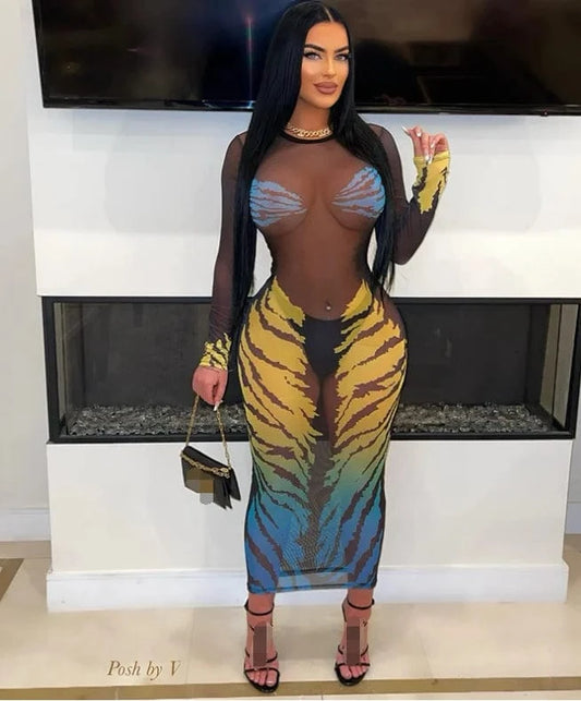 Sexy Club Party Mesh Maxi Dress Summer 2024 New Long Sleeve Leopard Printed Bodycon Dresses For Women Sheer Long Dress