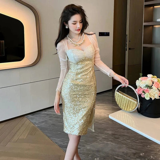 Spring Autumn New Fashion Women's Mesh Sexy Dresses Long Sleeve Bodycon Evening Dress