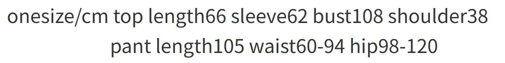 Two Piece Pant Set Turn Down Collar With High Elastic Waist Y2K Streetwear Elegant - SN Wigs & More