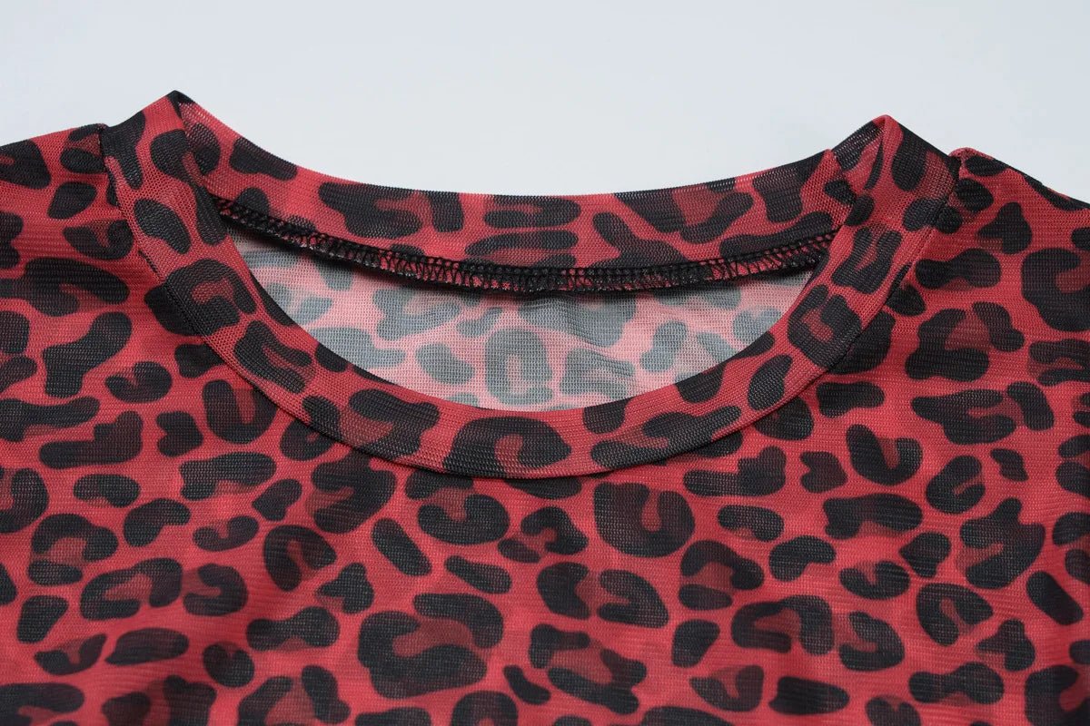 Two - Piece Set Leopard Print Sheer Mesh Top And Sequin Shorts Y2K Style - SN Wigs & More