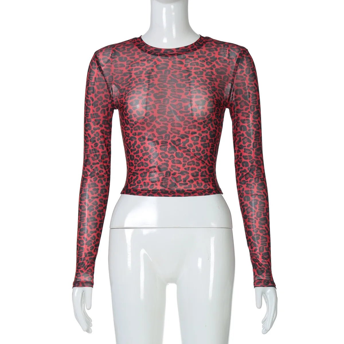 Two - Piece Set Leopard Print Sheer Mesh Top And Sequin Shorts Y2K Style - SN Wigs & More