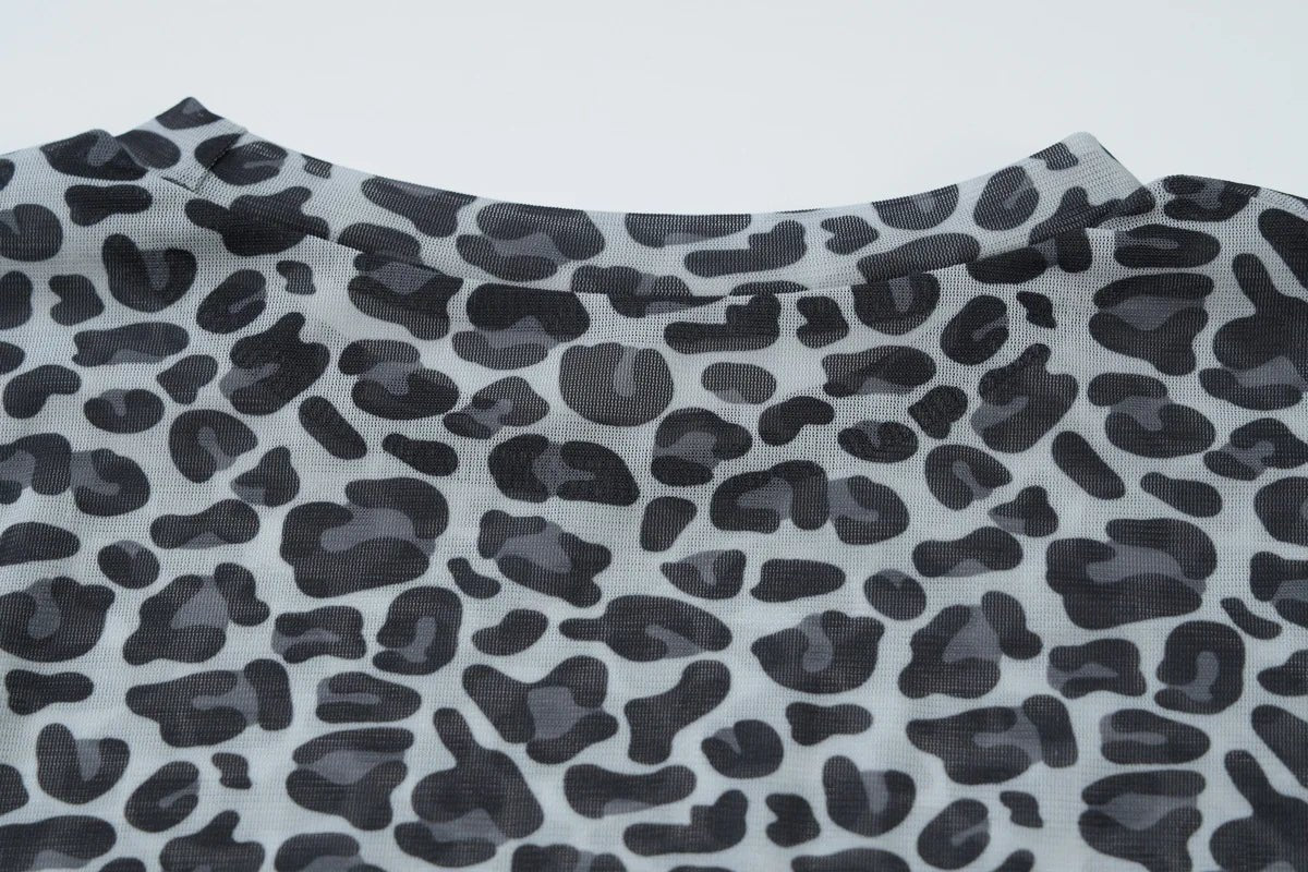 Two - Piece Set Leopard Print Sheer Mesh Top And Sequin Shorts Y2K Style - SN Wigs & More