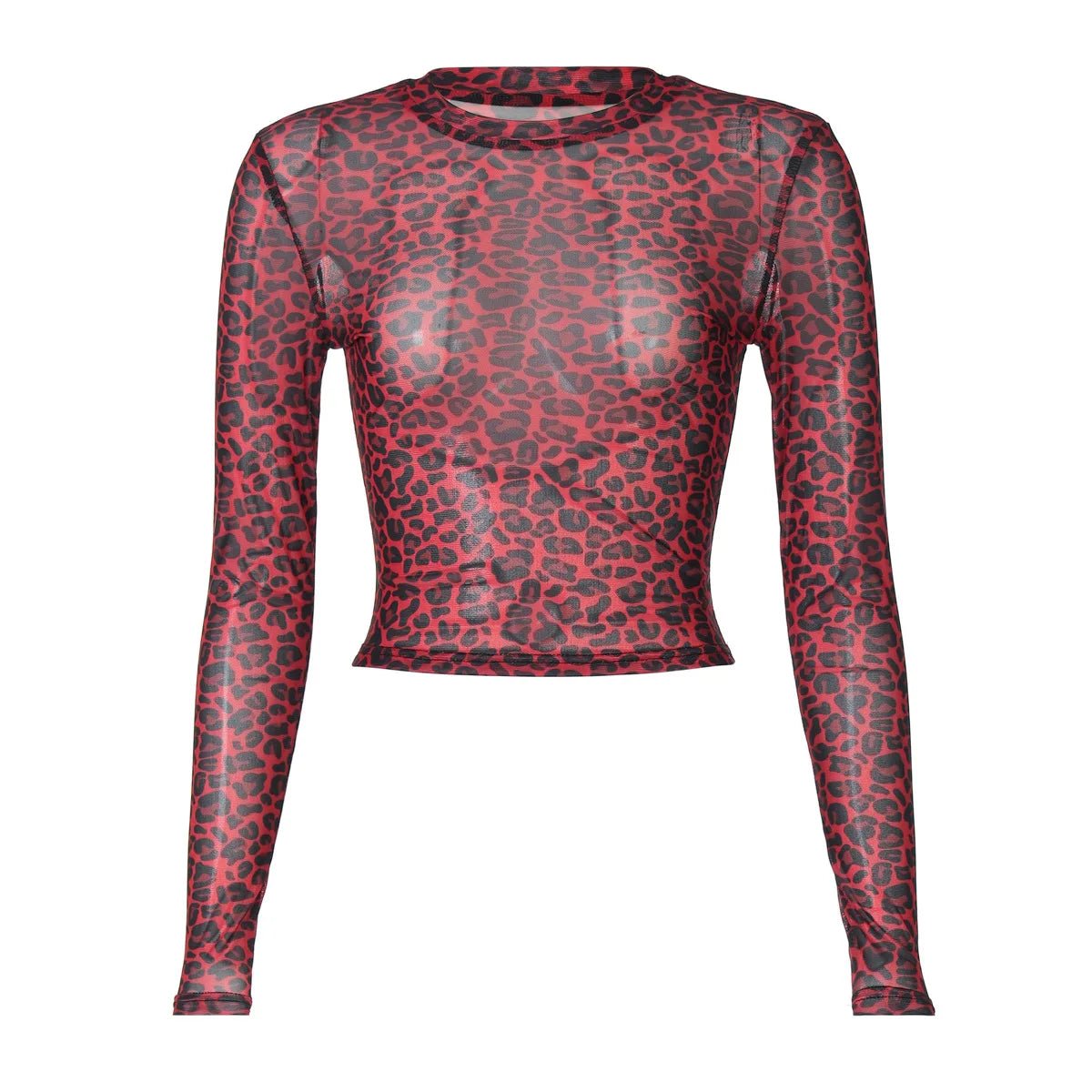 Two - Piece Set Leopard Print Sheer Mesh Top And Sequin Shorts Y2K Style - SN Wigs & More