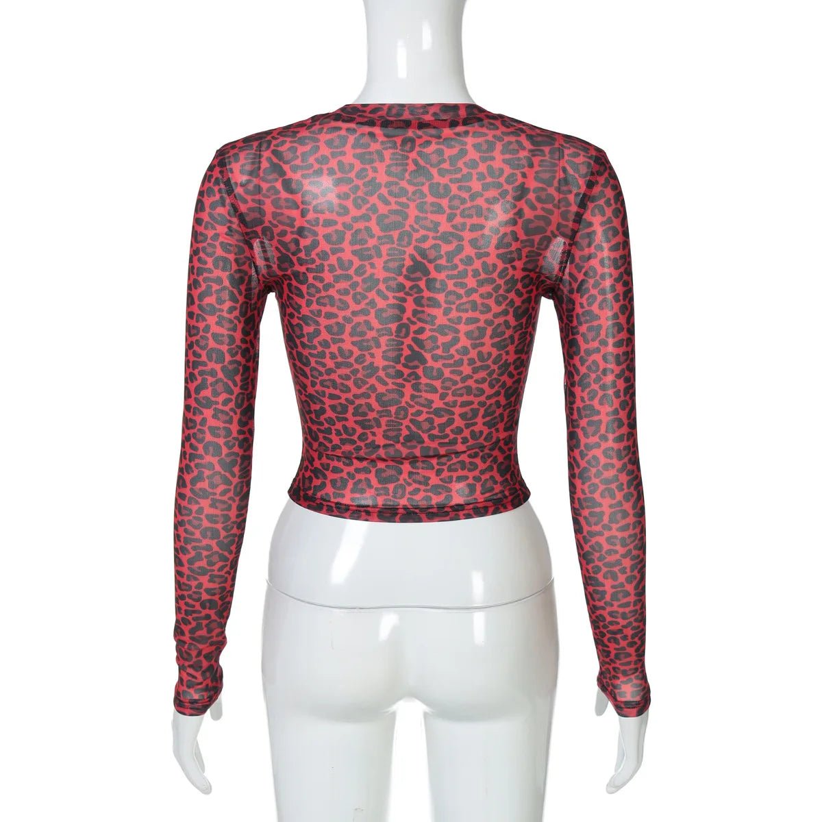 Two - Piece Set Leopard Print Sheer Mesh Top And Sequin Shorts Y2K Style - SN Wigs & More